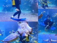 -左海海底世界