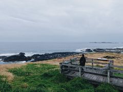 -企鹅岛