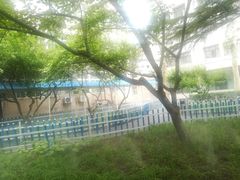 -中国人民解放军第九医学中心(306医院)