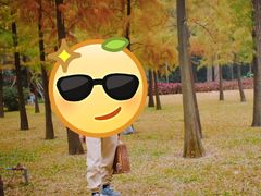 -晓港公园