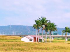 -光明小镇欢乐田园
