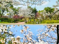 -苏州上方山国家森林公园