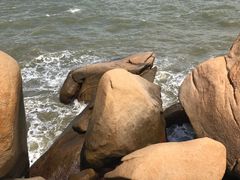 -那琴半岛地质海洋公园