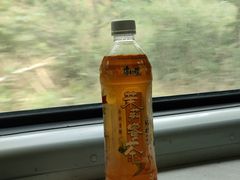 -益阳站