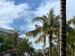 -三亚西岛海洋文化旅游区