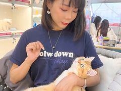 -lincat·猫舍(广州店)