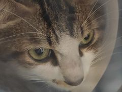 -荔康动物医院(康王北路店)