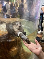 -Zoolung Zoolung动物主题公园(海信广场店)