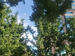 -安妮意大利餐厅(世贸天阶店)