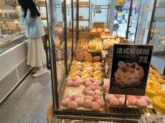-天力卡拉优动物奶油生日蛋糕(鼓楼店)