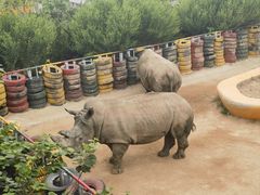 -西霞口神雕山野生动物世界
