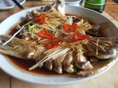-煲来饱去冷水鱼