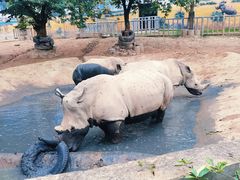 -西安秦岭野生动物园