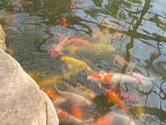 -南通洲际绿博园
