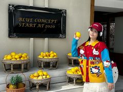 -Blue Concept Cafe&Farm·關於藍