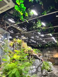 -Zoolung Zoolung动物主题公园(海信广场店)