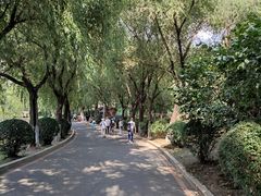 -丁香湖公园