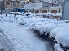 -新疆国际大巴扎