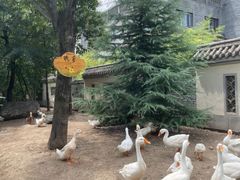 -太白山御龙湾温泉
