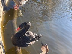 -北京市海淀外国语实验学校