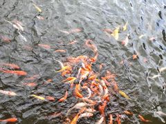 -望天湖