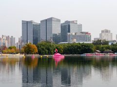 -莲花池公园