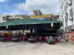 -霞姐屯昌枫木香草鸭店(海螺店)