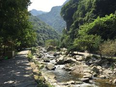 -少华山国家森林公园