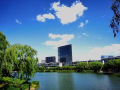 -大兴滨河森林公园