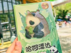 -卧龙中华大熊猫苑神树坪基地