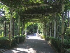 -叶家花园