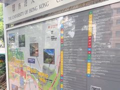 -香港大学