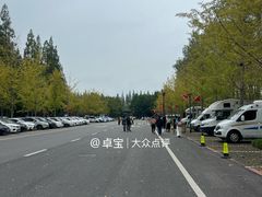 -黄海国家森林公园