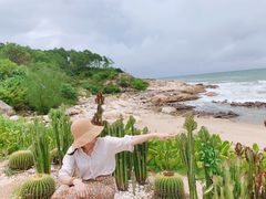 -广东惠东海龟国家级自然保护区