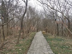 -南山风景名胜区