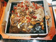 -三强鸽子(中原路店)
