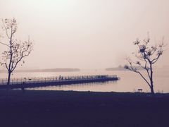 -武清南湖绿博园