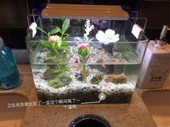 -海底捞火锅(团结桥店)
