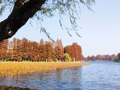 -东湖生态旅游风景区