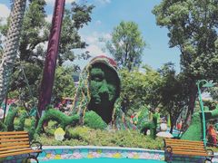 -苏州乐园森林水世界