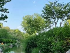 -羊山湖公园