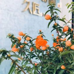 点击看大图 -久匠半永久纹眉