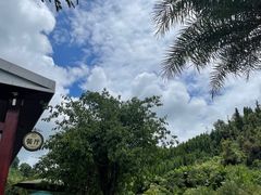 -腾冲洞山温泉村