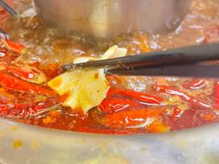 -金鼎雪山牦牛杂火锅(理县总店)