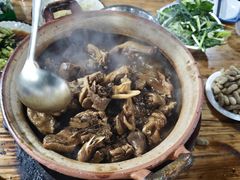 -霞姐屯昌枫木香草鸭店(海螺店)