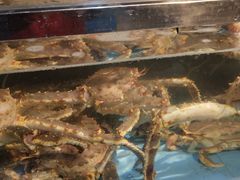 -盒马渔市(平高企业集团·平高广场店)