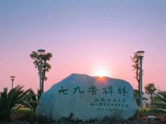 -西南政法大学(沙坪坝校区)