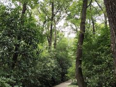 -南京东郊国宾馆