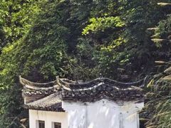 -五龙源极限漂流
