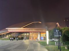 -合肥大剧院